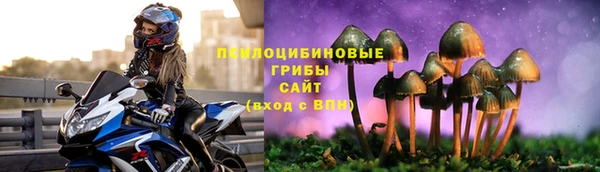 первитин Лагань