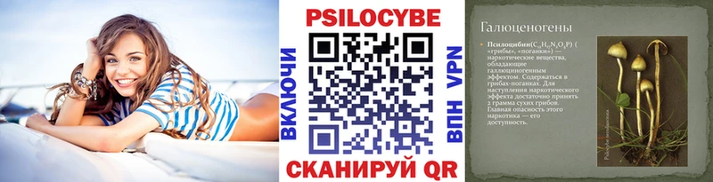 Галлюциногенные грибы Psilocybine cubensis Купить где Большой Камень
